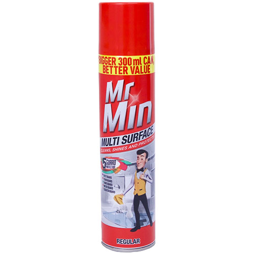 Mr Min Multi-Surface Regular 300ML