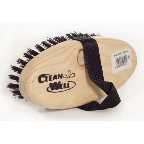 Brush Oval