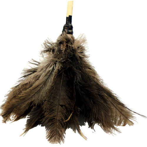 Feather Duster Long