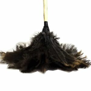 Feather Duster Short