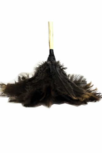 Feather Duster Short