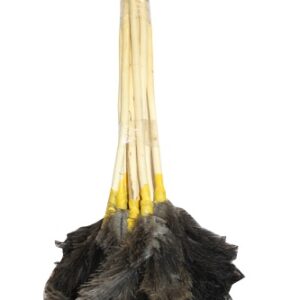 Feather Duster Short - Image 2