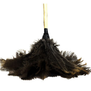 Feather Duster Short