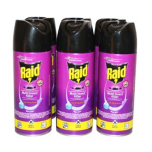 Raid Dual Purpose Insect Killer 300ML - Image 2