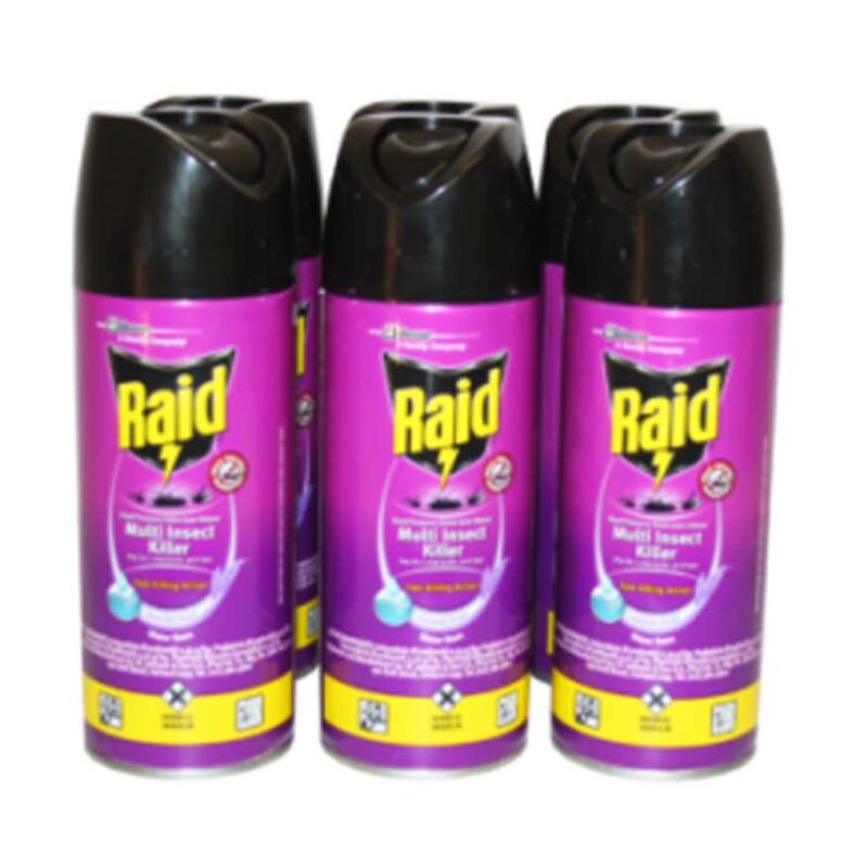 Raid Dual Purpose Insect Killer 300ML - Image 2