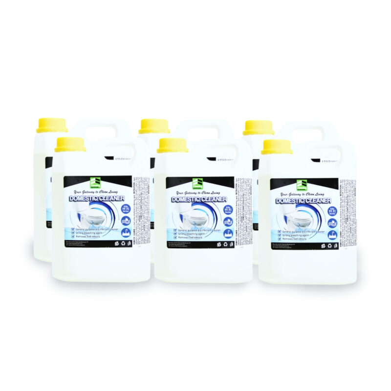 Domestic Cleaner - Image 8