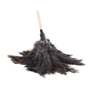 Feather Duster Long