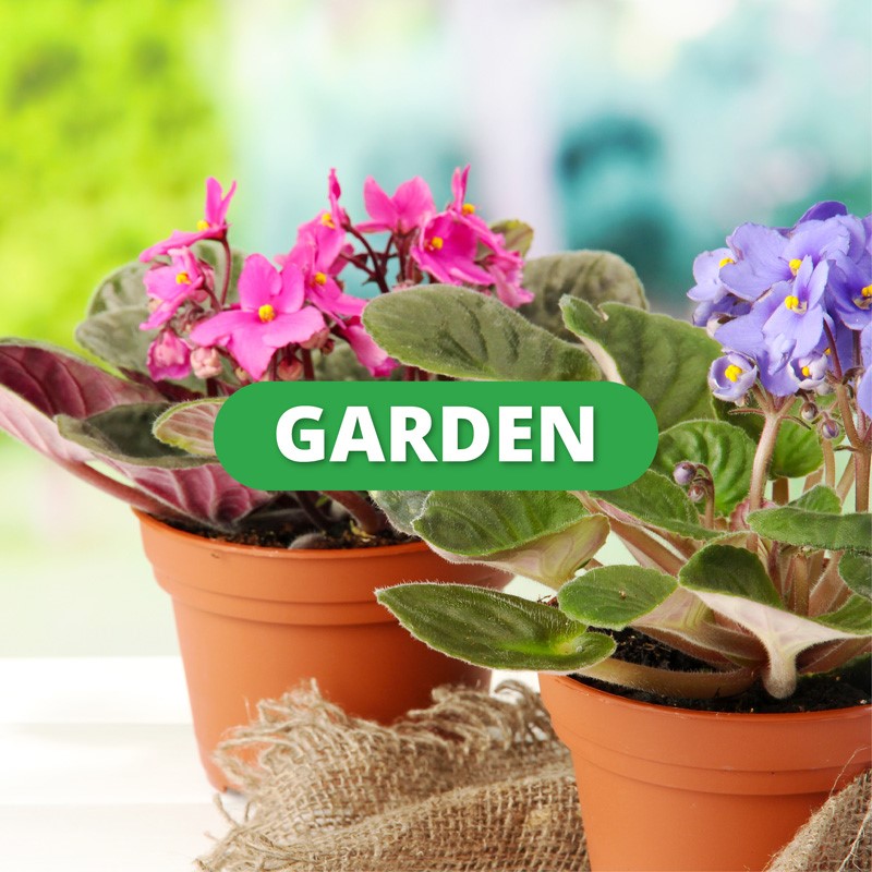 GARDEN