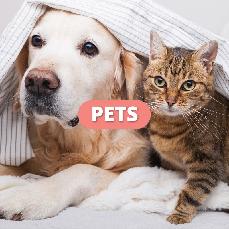PETS