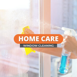 Window Cleaning