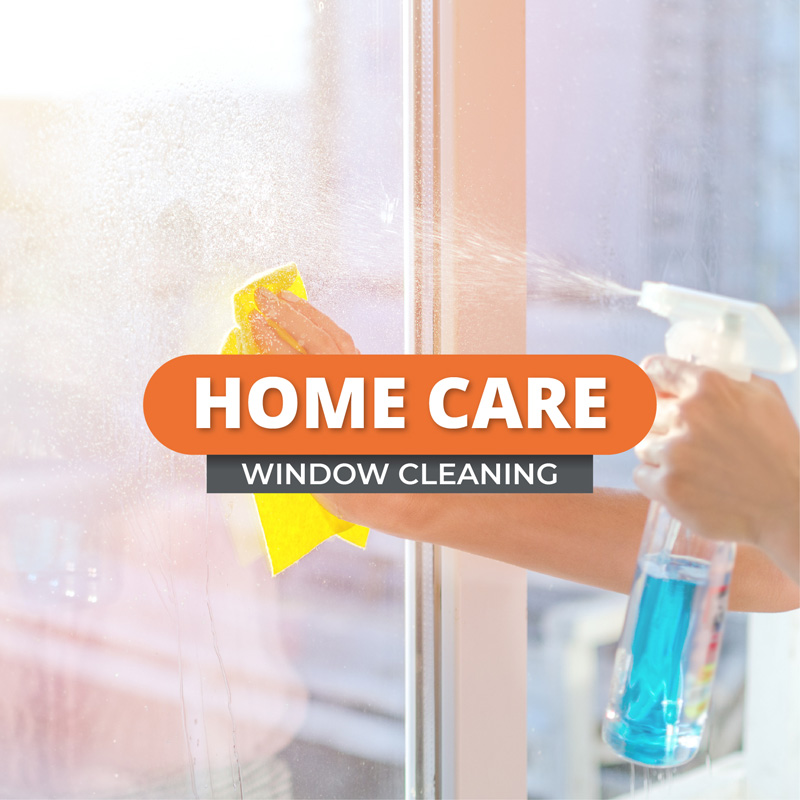 Window Cleaning