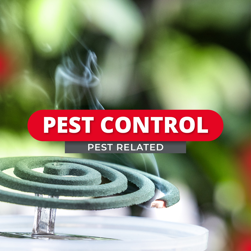 Pest Related