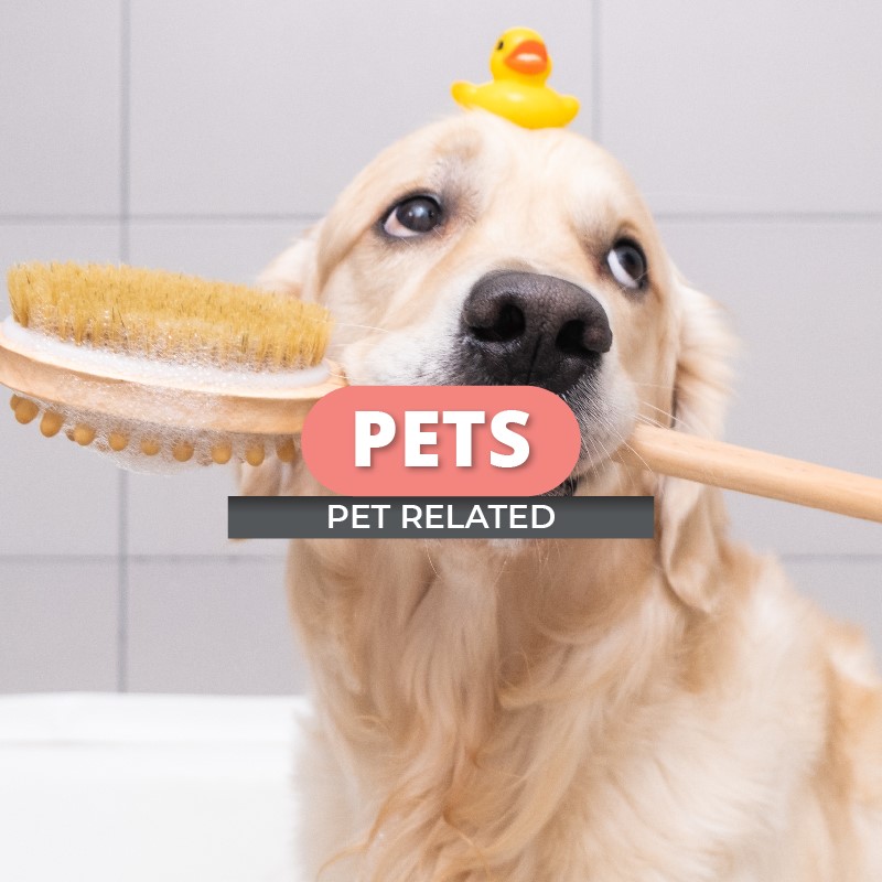 Pet Related