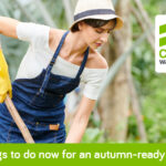 4 Things to do right now for an autumn-ready garden 4 Things to do right now for an autumn-ready garden CW Blog Banners V1 2024 09