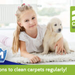 7 Good reasons to clean house and office carpets regularly 7 Good reasons to clean house and office carpets regularly