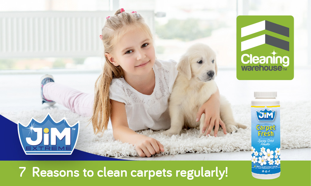 7 Good reasons to clean house and office carpets regularly