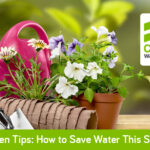 5 Garden Tips: How to Save Water This Summer 5 Garden Tips: How to Save Water this Summmer