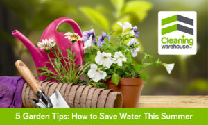 5 Garden Tips: How to Save Water this Summmer