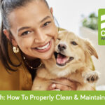 Dog Health: How To Properly Clean & Maintain Pet Areas Dog Health: How To Properly Clean & Maintain Pet Areas Dog Health How To Prooperly Clean Maintain Pet Areas