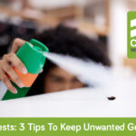 Winter Pests: 3 Tips To Keep Unwanted Guests Out Winter Pests