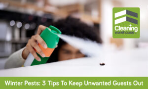 Winter Pests